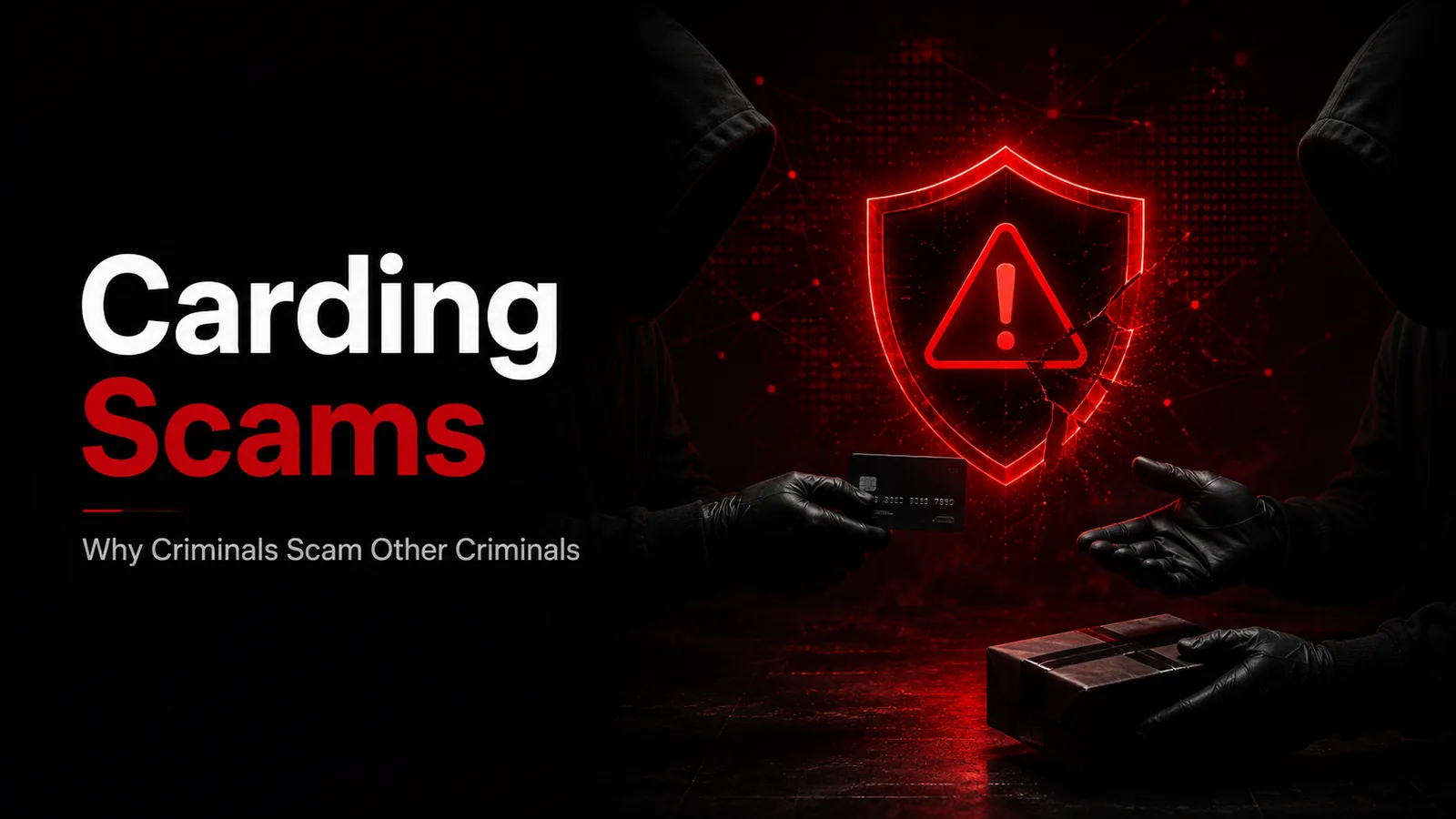 What Are Carding Scams? Why Criminals Scam Other Criminals